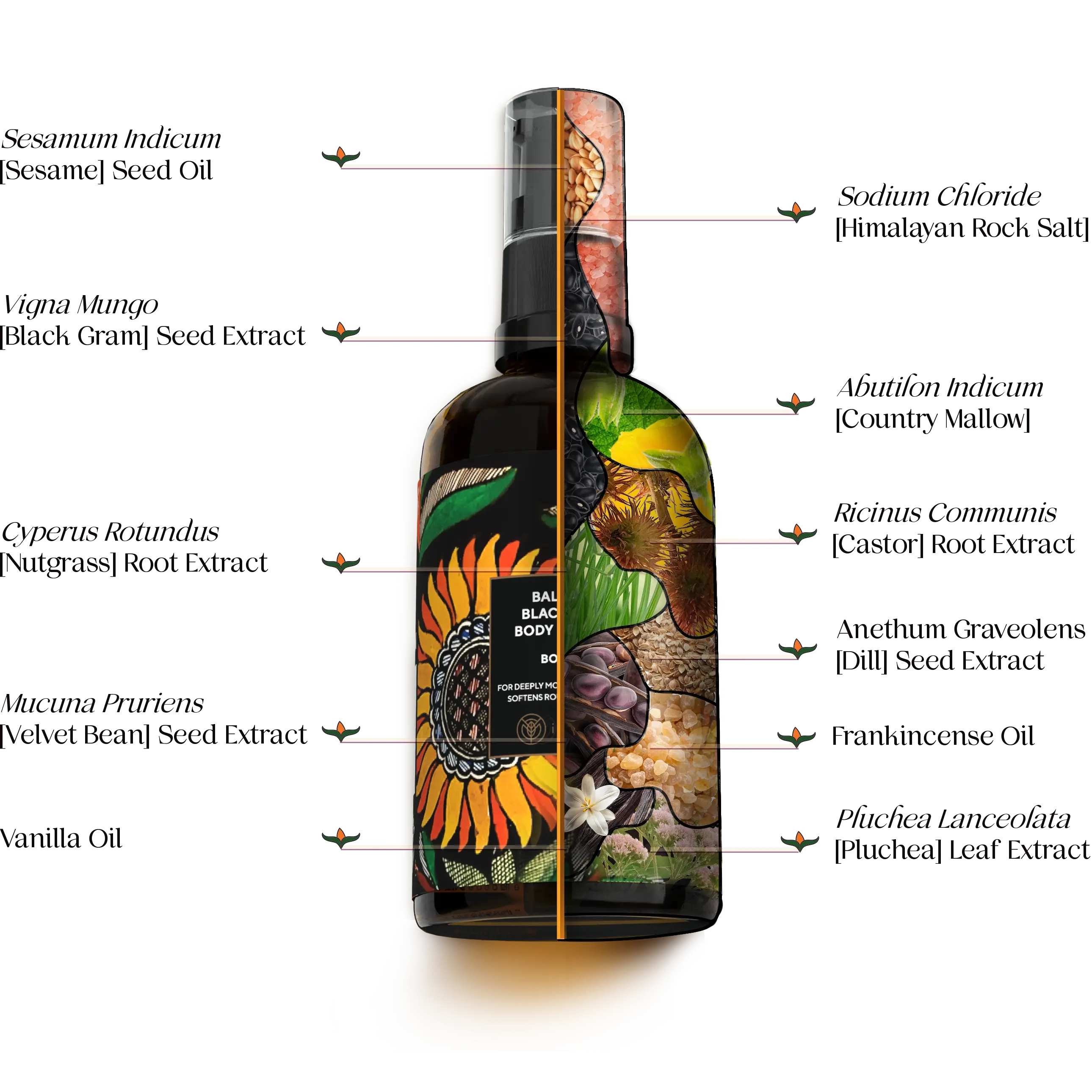A composition of a bottle of balaayah and it's ingredients with their names