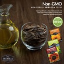 Non-GMO non-hybrid heirloom sunflower seeds for planting