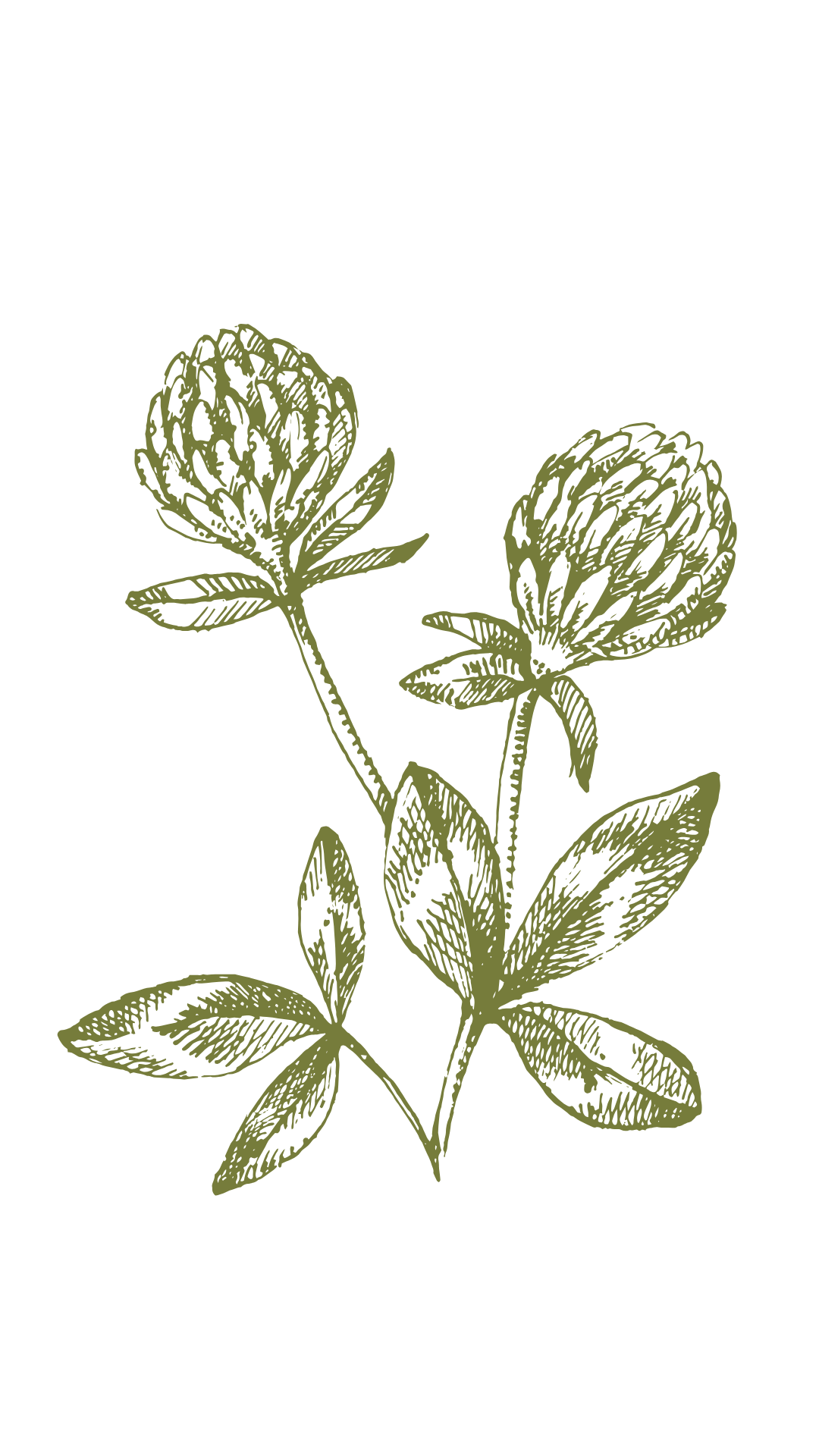 Mineralni krono-koktel