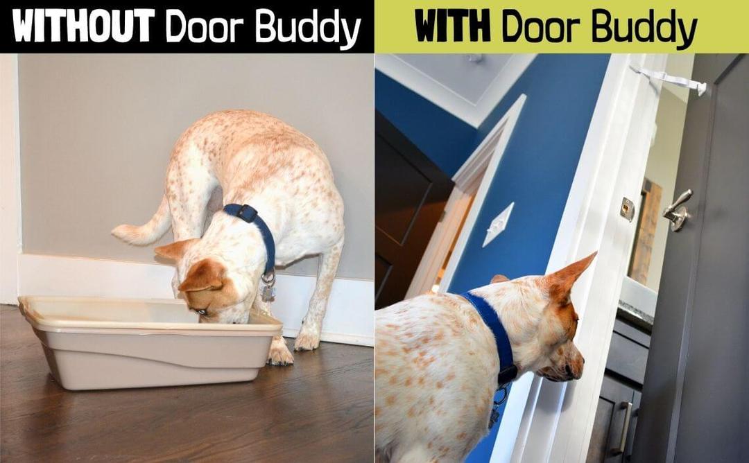 Hold Door Open for Cat and Keep Dog Out. Door Buddy® Caramel Lattice
