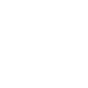Shield icon with a dollar sign in the center, representing financial protection.