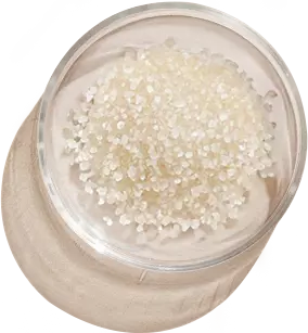 XYLITYL-GLUCOSIDE, XYLITOL AND ANHYDROXYLITOL 