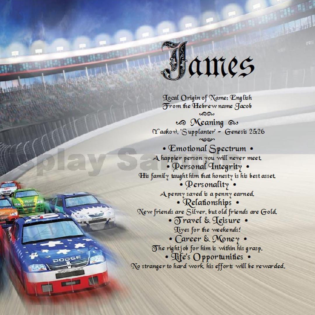 Stock Car Racing Gift