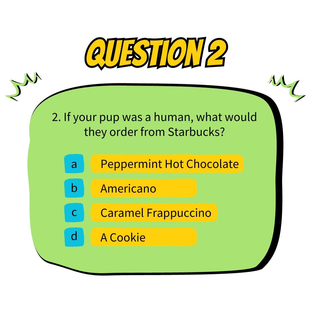Question 2: If your pup was a human, what would they order from Starbucks?