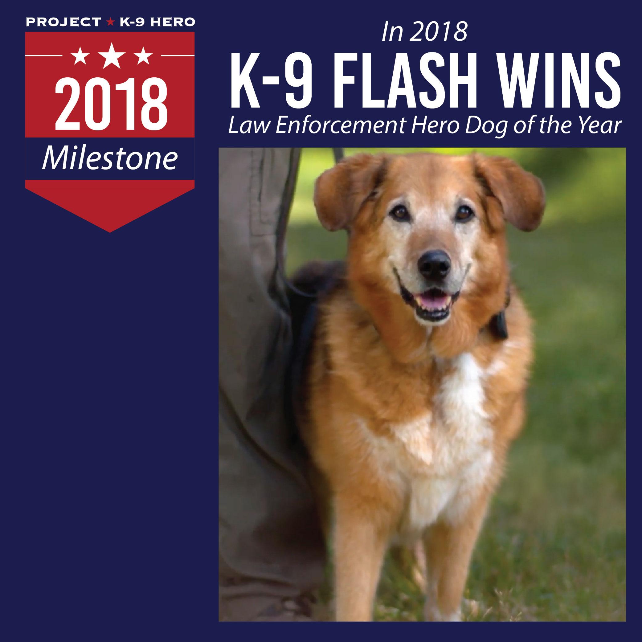 k9 flash wins law enforcement dog of the year