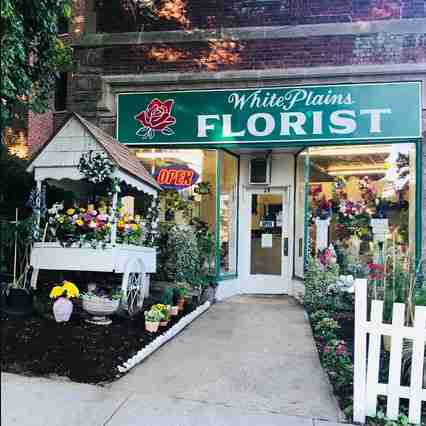 This is the White Plains Florist storefront.