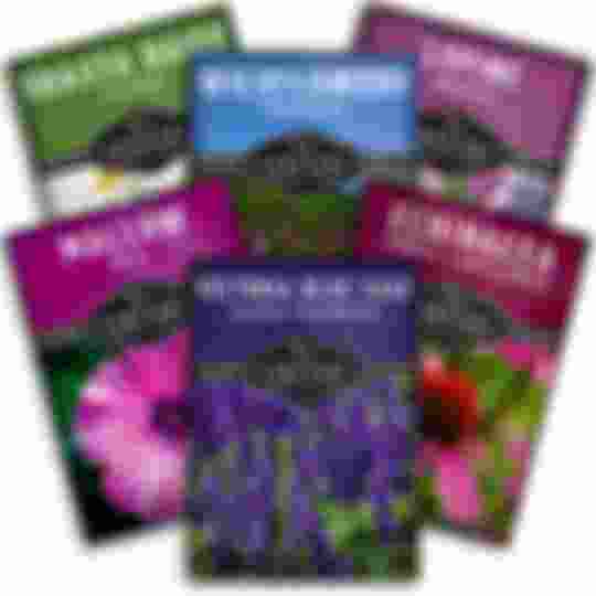 6 packets of perennial flower seeds
