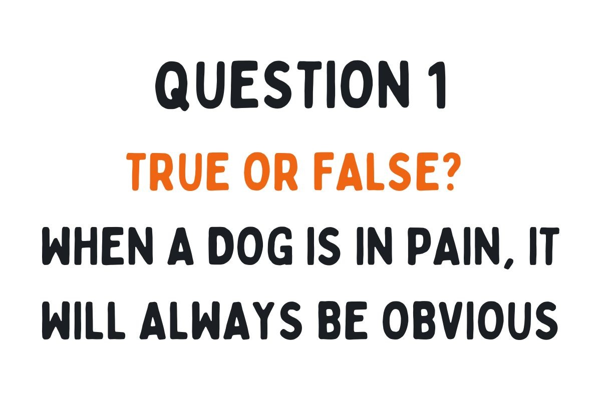 Question 1: True or False? When a dog is in pain, it will always be obvious