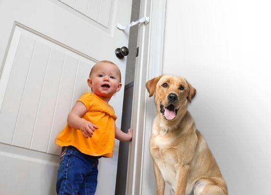 Door Buddy - keep dogs and babies out