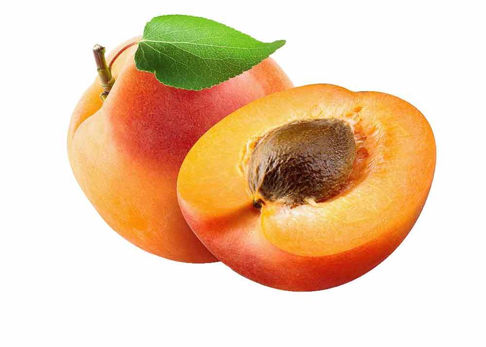 Apricot  