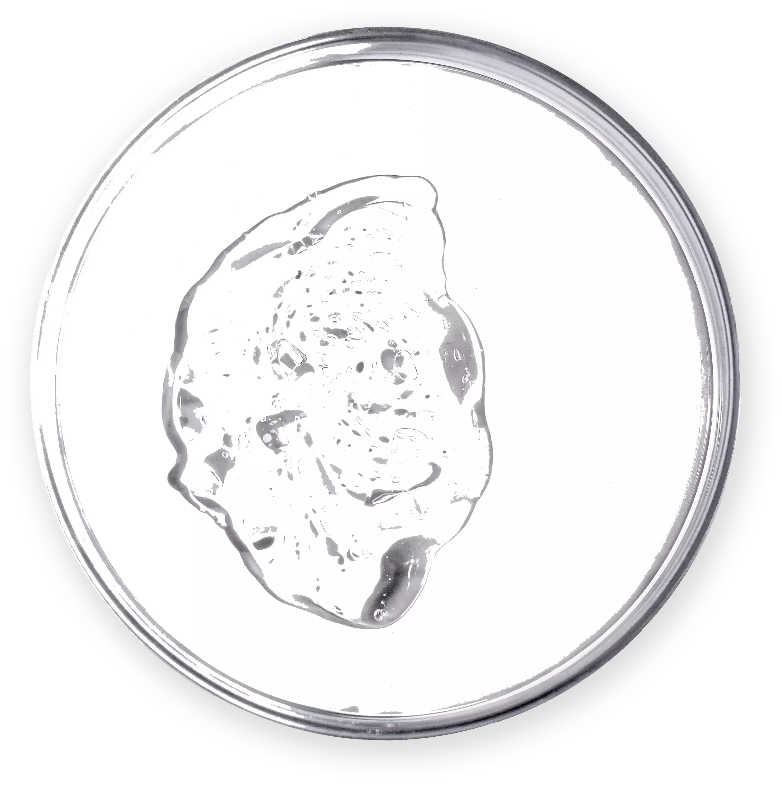 Polyglyceryl-4 Caprate