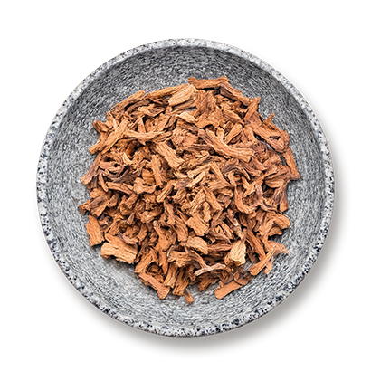 Blackboard Tree Bark (Saptaparna, Alstonia scholaris) 
