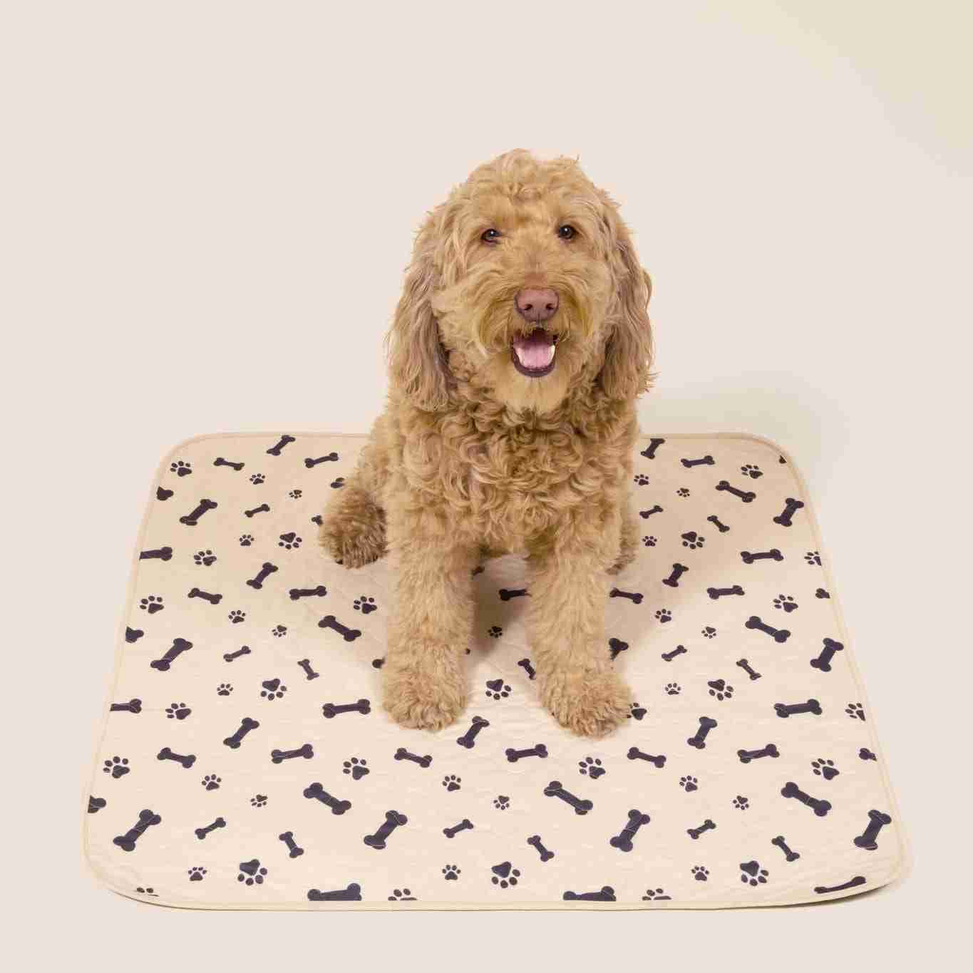 How to Stop Puppy From Chewing Pee Pad – Potty Buddy - Potty Buddy™