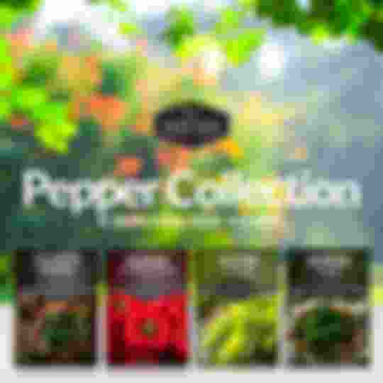 Pepper Seed Collection - 4 hot and sweet heirloom peppers