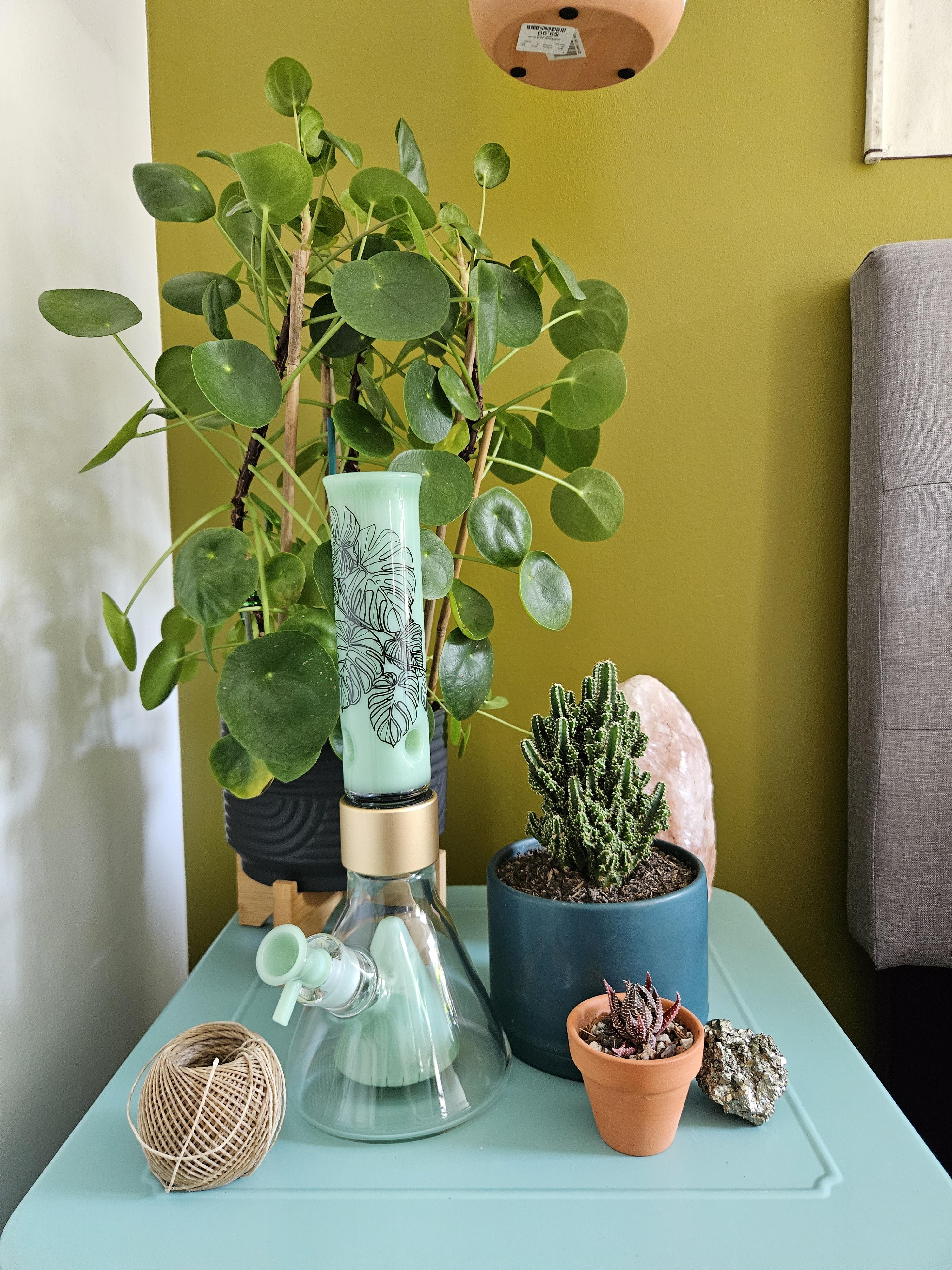 A Prism Single Stack Percolated Beaker Bong with a mint green Collins pyramid percolator and Monstera decal design on its standard mint green mouthpiece. The bong is artfully placed amidst a cascade of houseplants, cacti, and a Himalayan salt lamp, creating a tranquil biophilic smoking aesthetic.
