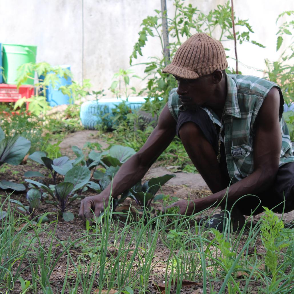 Sam is the best and is working for us in the community garden