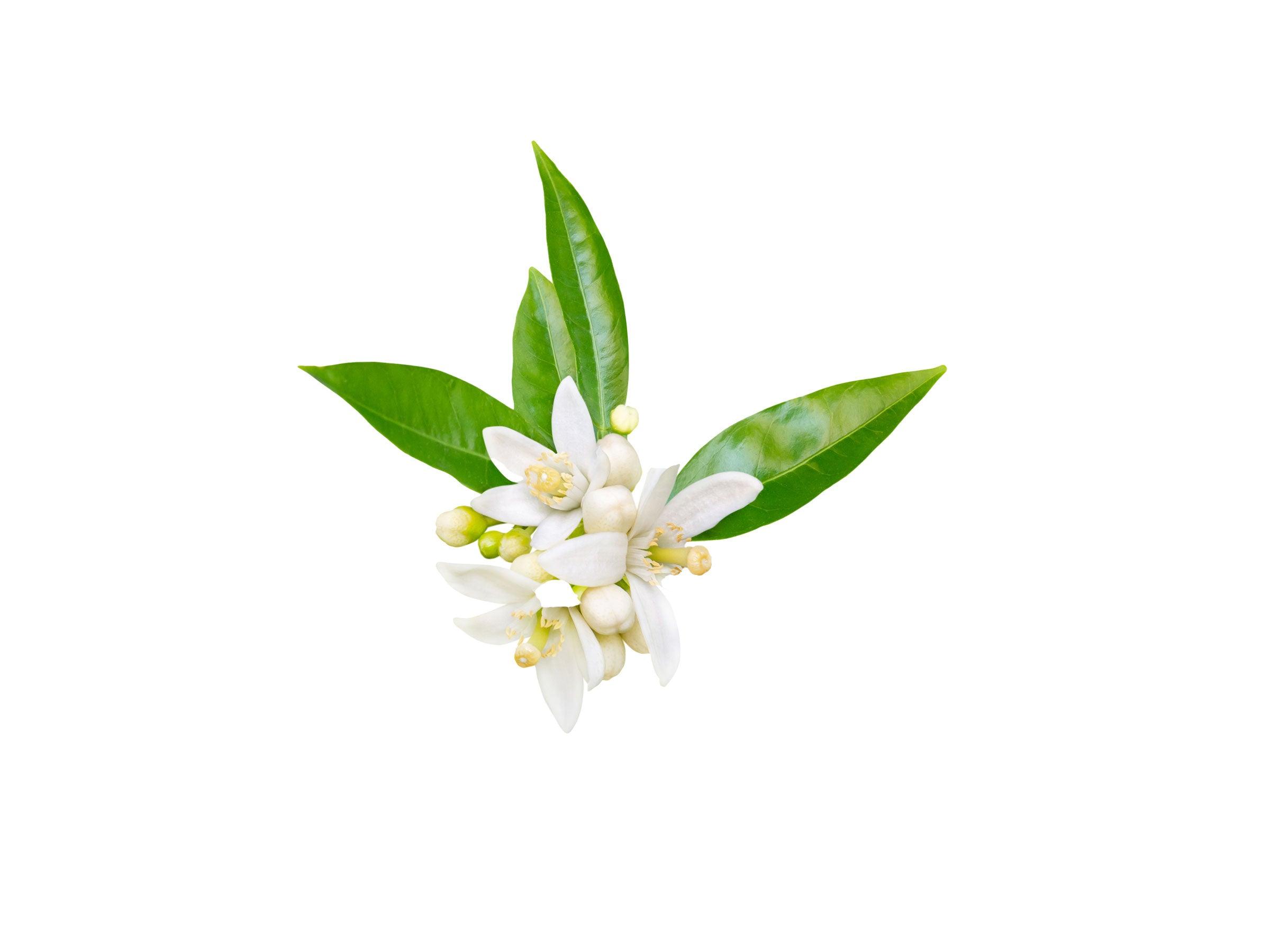# Neroli