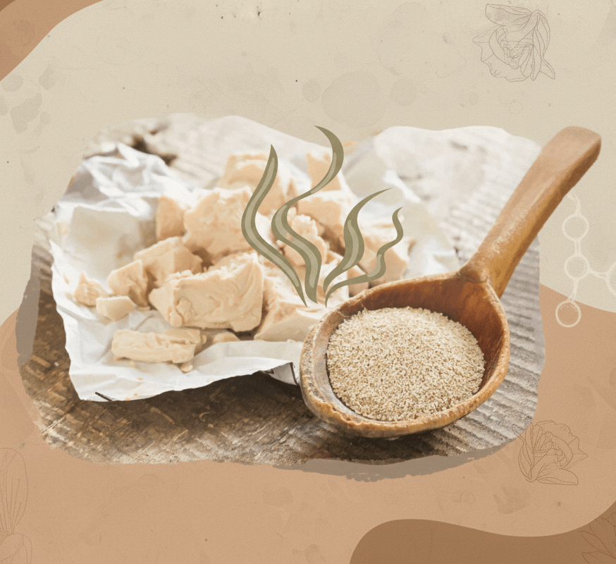 Une odeur de levure ou de pain pour la mycose