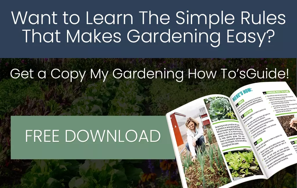 Gardening-How-tos-horizontal-ad-new