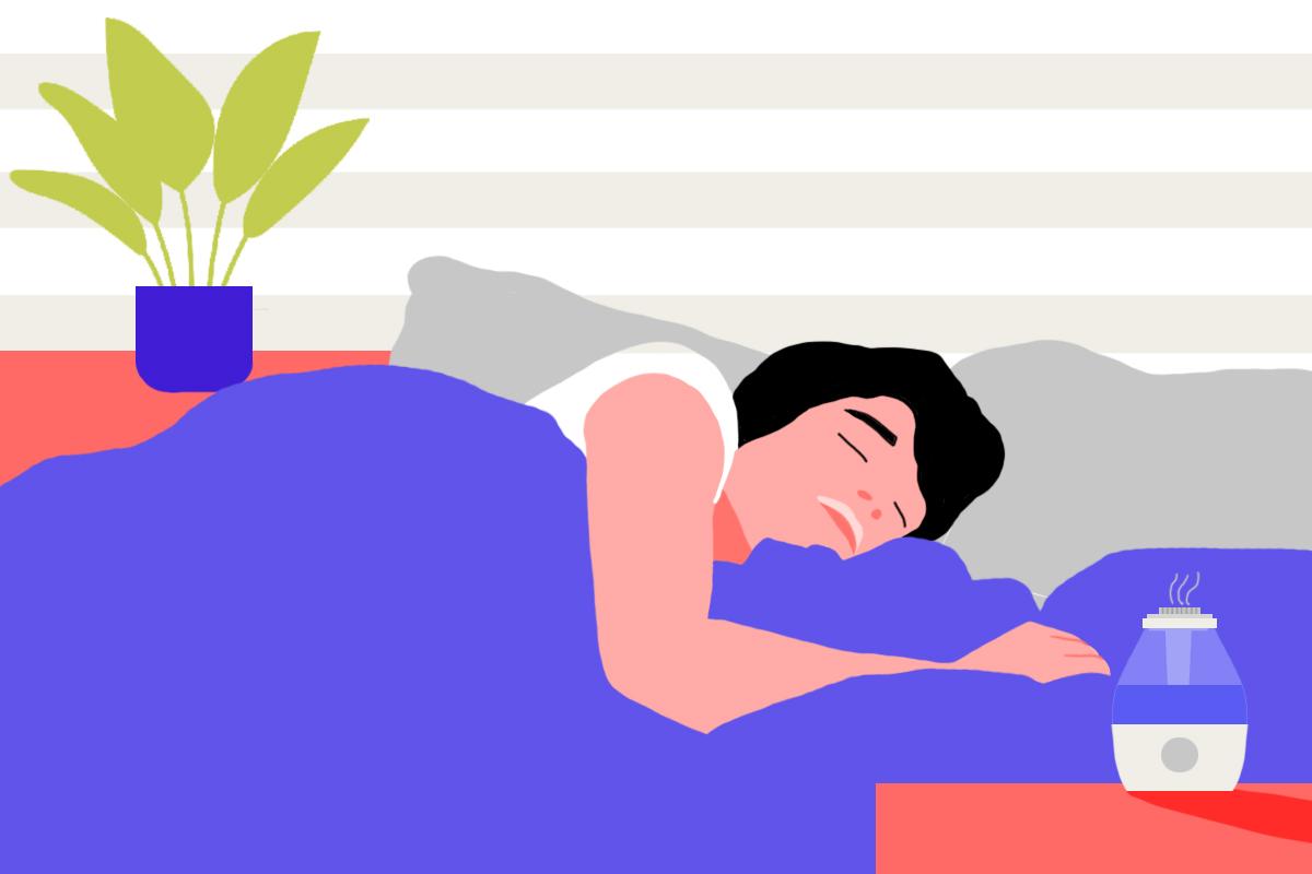 A person sleeping in the ideal indoor humidity, using a humidifier and a Boston fern plant to maintain the best humidity level for sleeping.