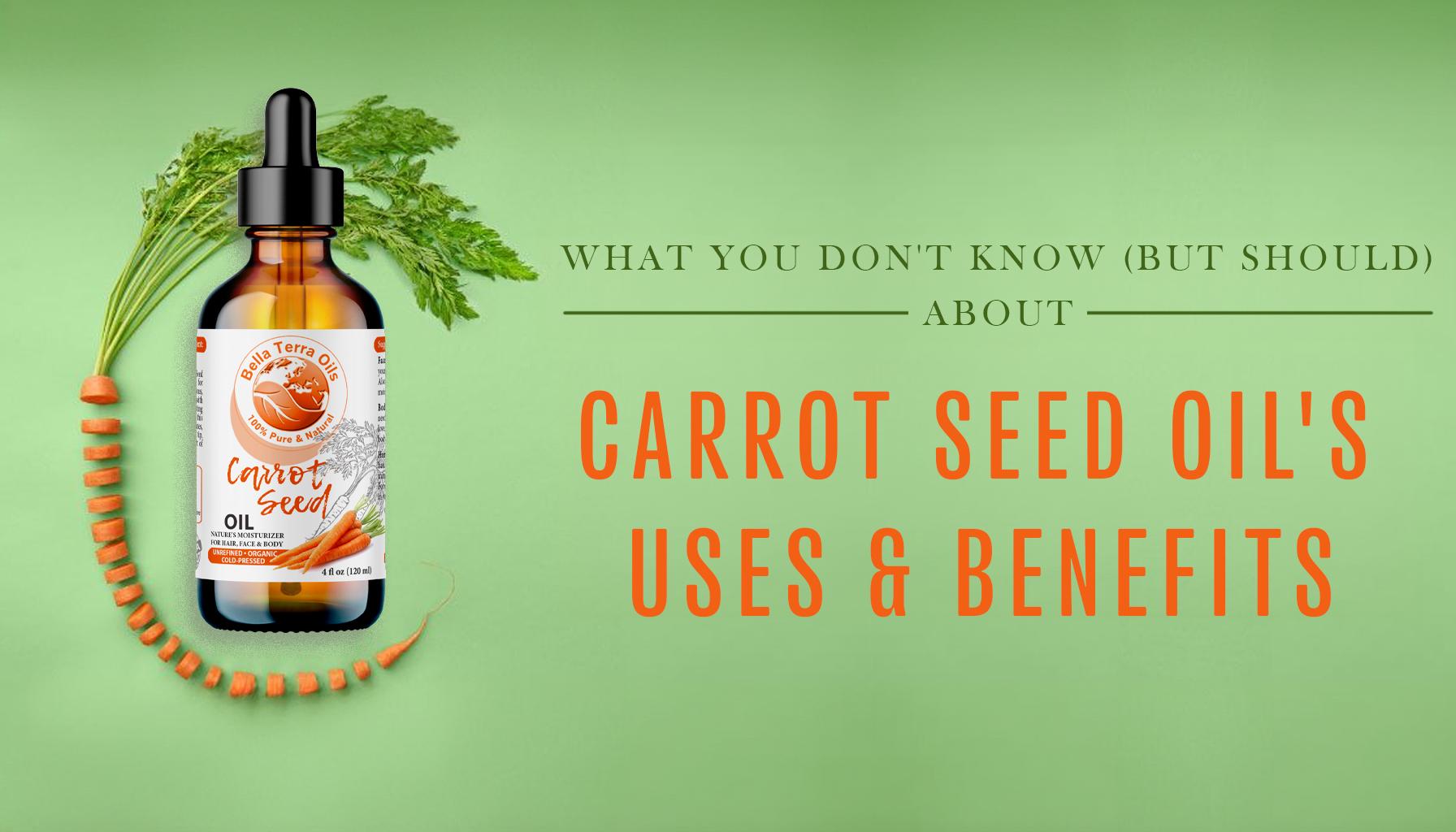 Carrot Seed Carrier Oil