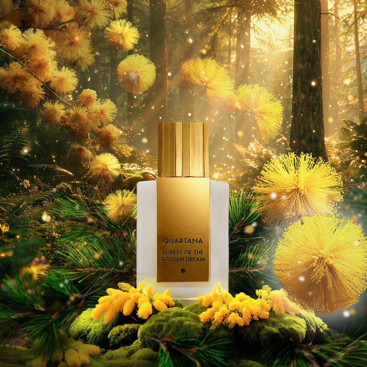 Forest of the Golden Dream by QUARTANA