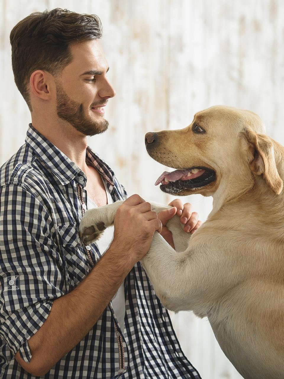 excited dog looking at its owner
