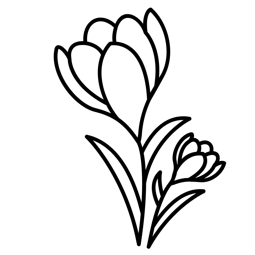 Pčelinja pelud