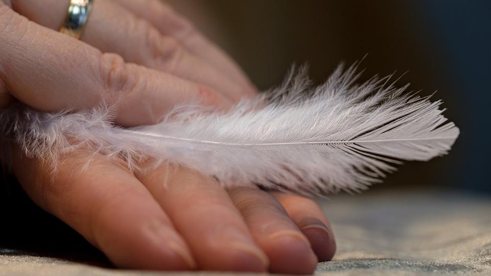 Amazing Laundry Hacks How to Get Bed Sheets White Again with Ease