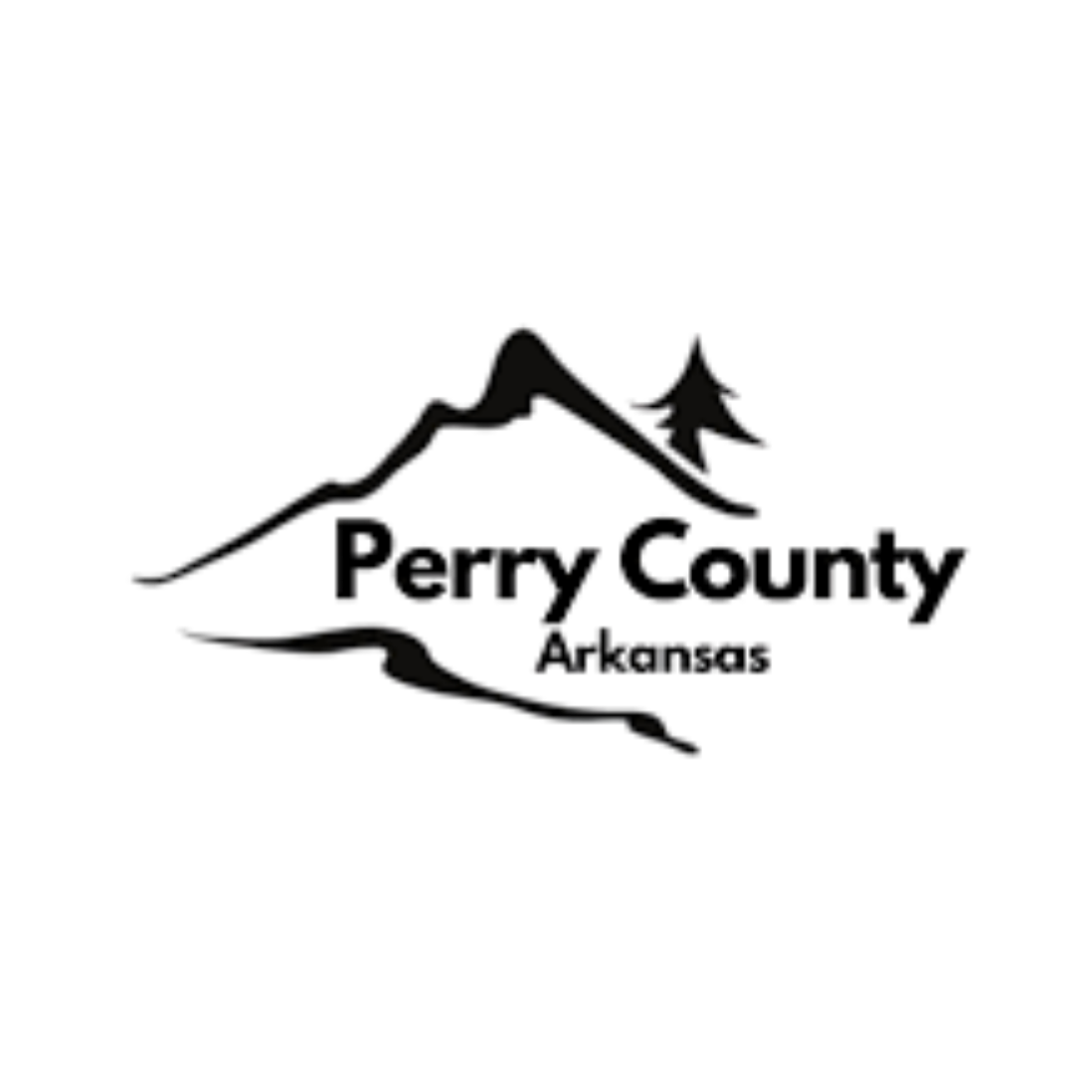 Nasa Logo