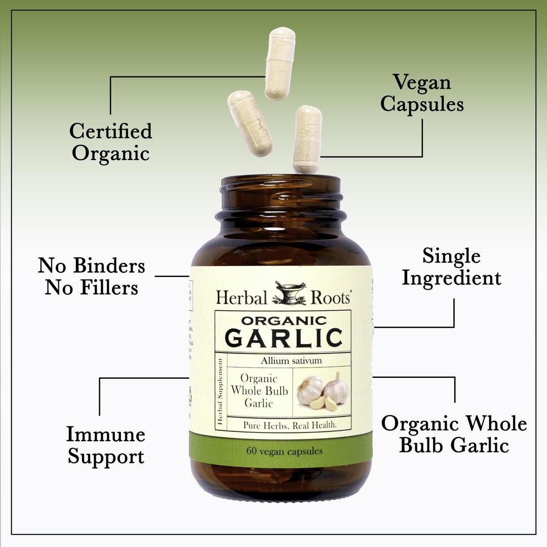 Bottle of Herbal Roots Organic garlic with three pills spilling out of the top of the bottle. There are several lines pointing to the bottle and the capsules. The lines say Certified Organic, Vegan Capsules, Single ingredient, No Binders or fillers, Immune support and organic whole bulb garlic.