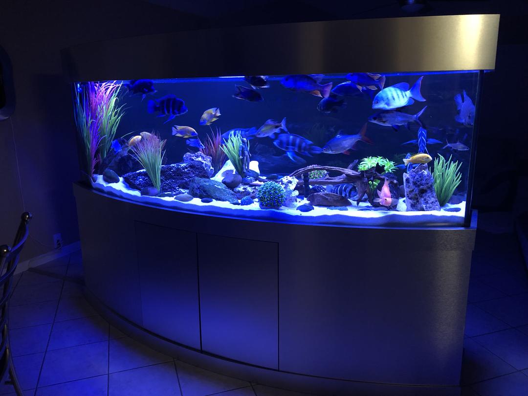 Aquarium Filter Pad DIY Aquatic Experts