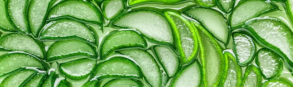 ALOE VERA