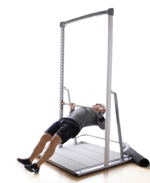 vertical back row exercise strengthen back how to