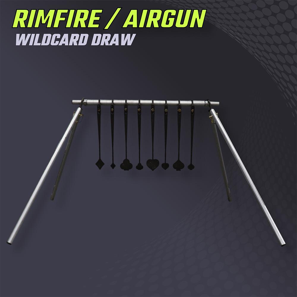 22 plinking targets