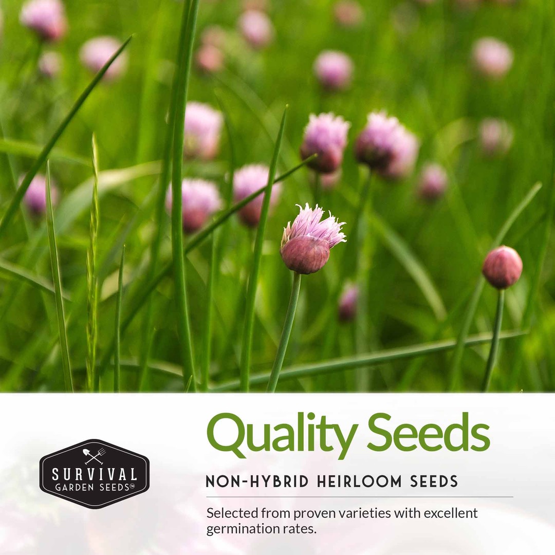quality non-hybrid heirloom herb garden seeds