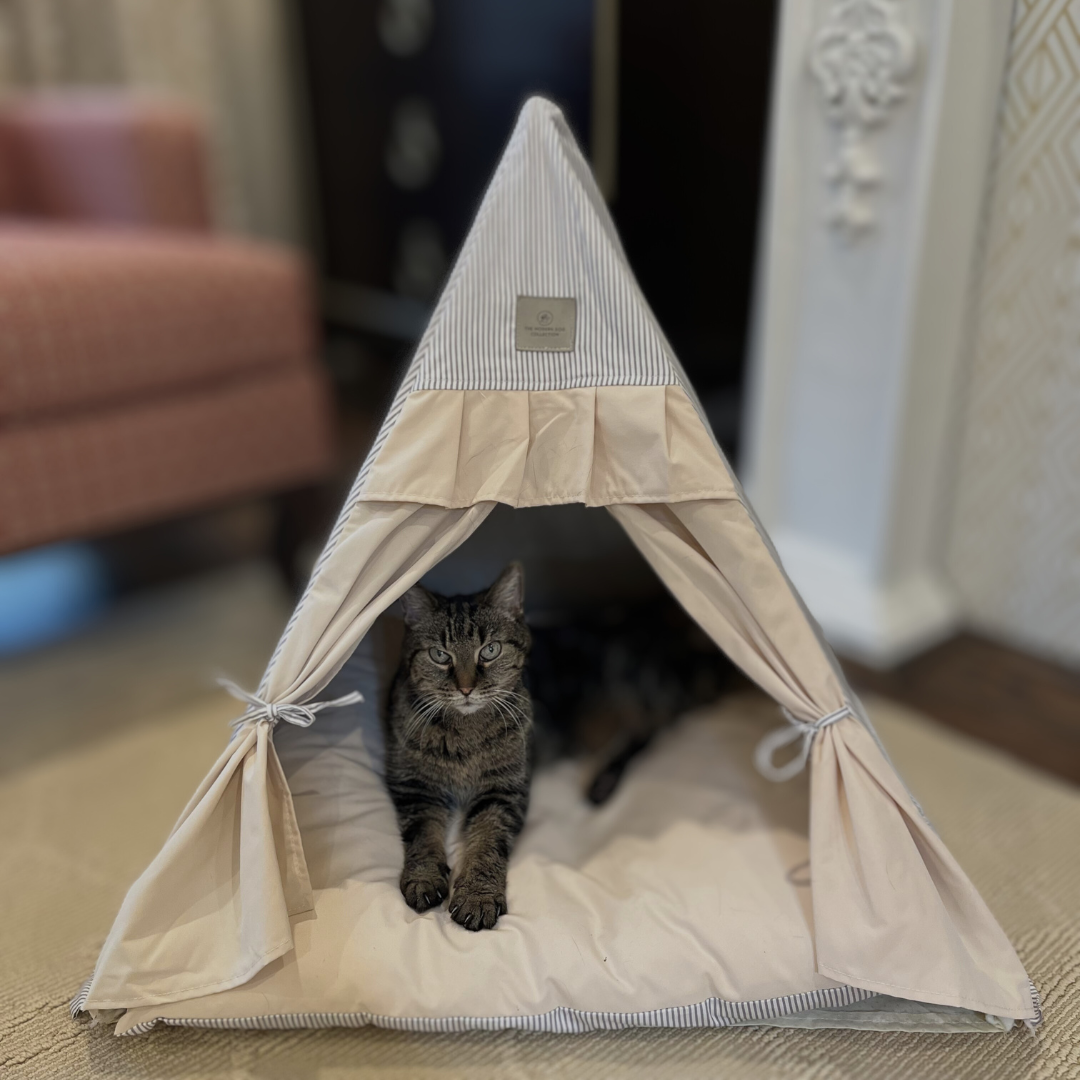 Cats love the Chatsworth Tent Bed