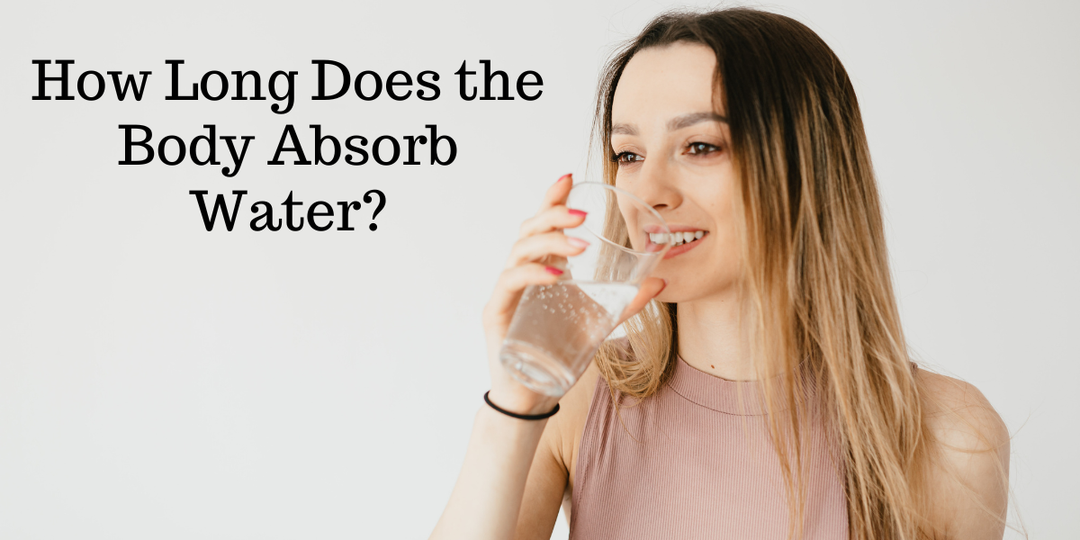 How Long Does the Body Absorb Water