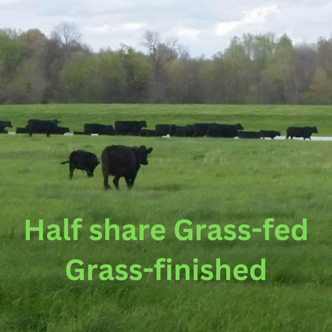 GRASS FED GRASS FINISHED! Half beef deposit
