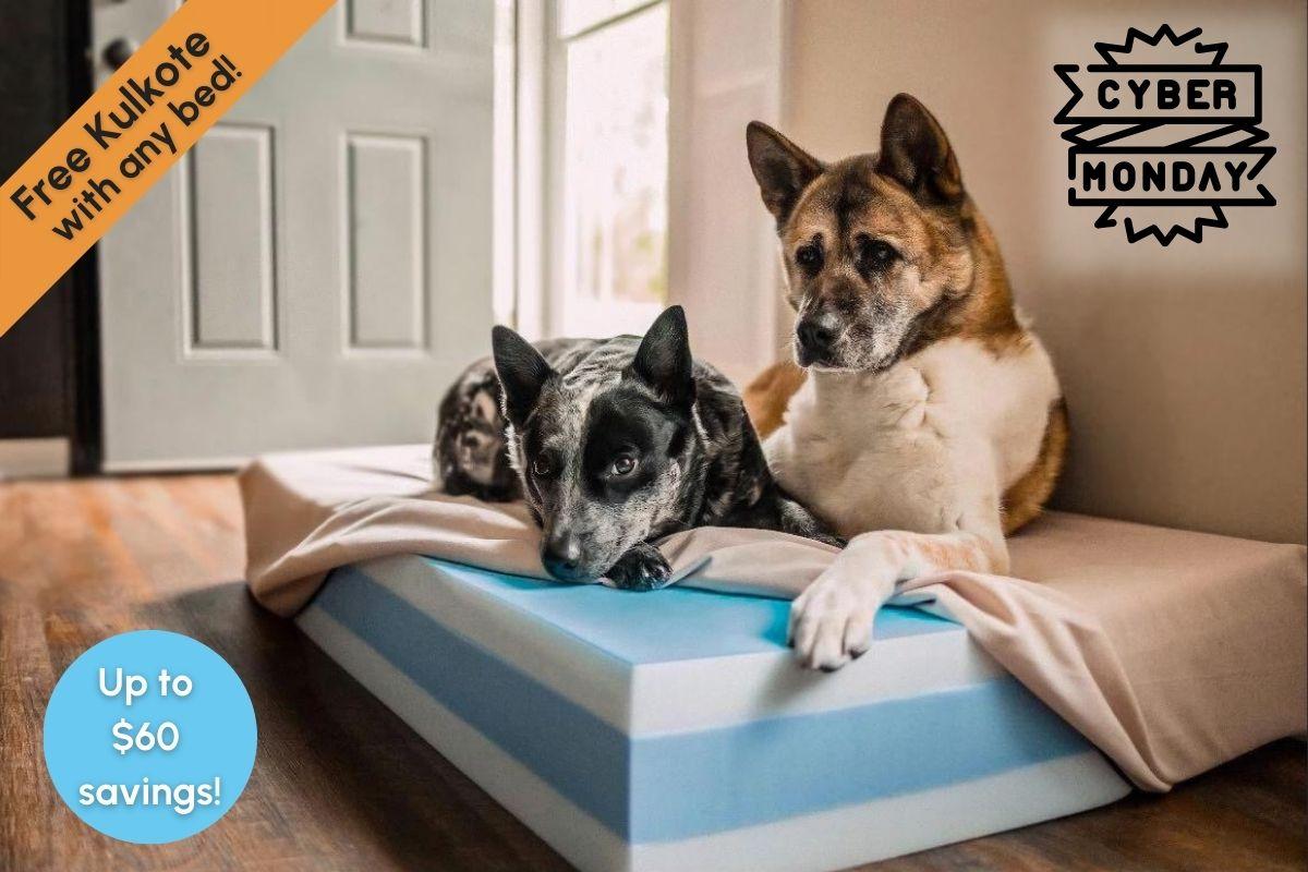 Cyber monday deals 2025 on dog beds