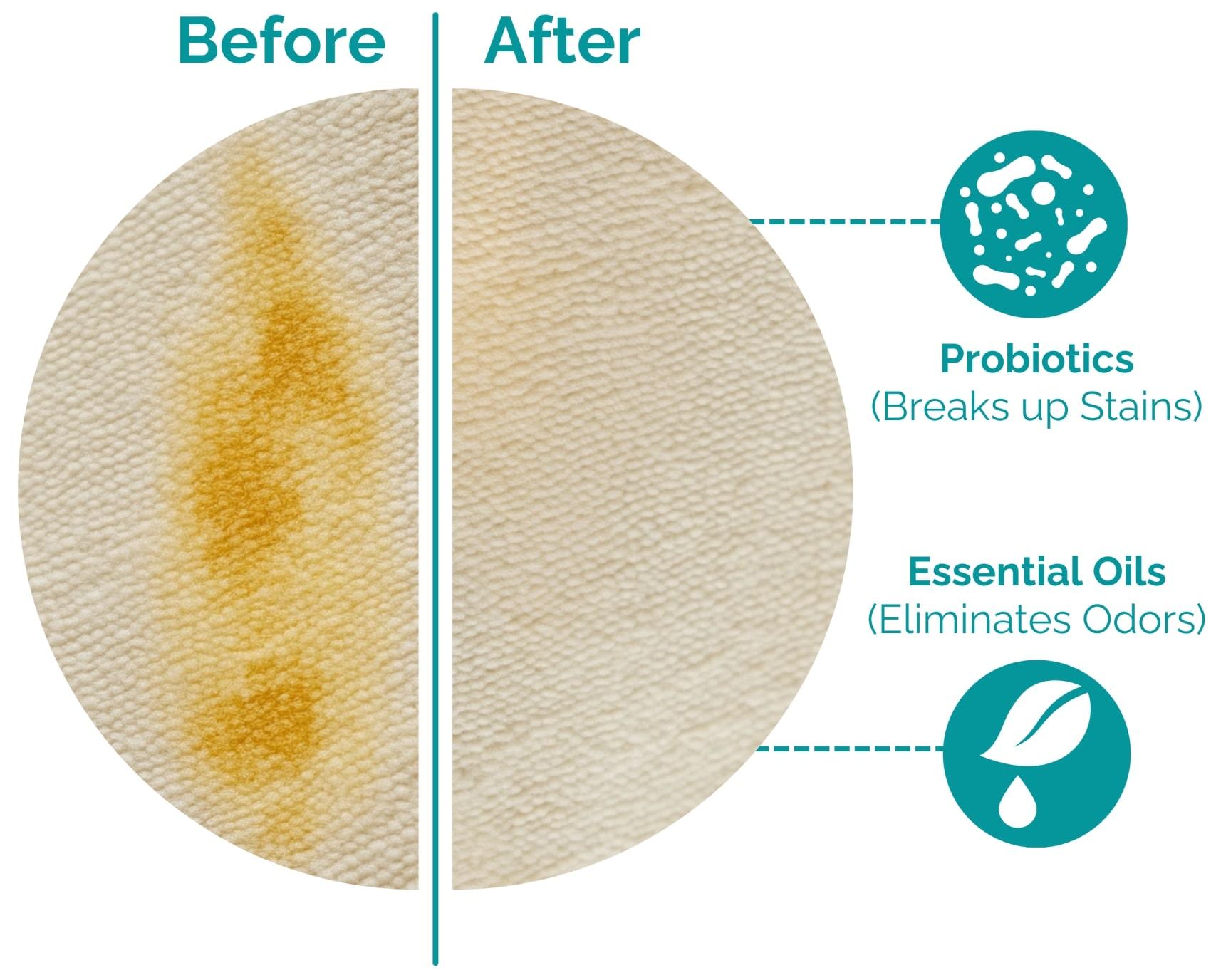 A diagram showing the layers of the Potty Buddy reusable potty pad