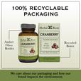Bottle and box of Herbal Roots Cranberry supplement next to each other. Under the bottle and box says We care about our packaging and how our brand impacts the environment. There is a line coming from the left of the bottle that says Amber glass bottles. There is a line coming from the left of the box that says recycled boxes.