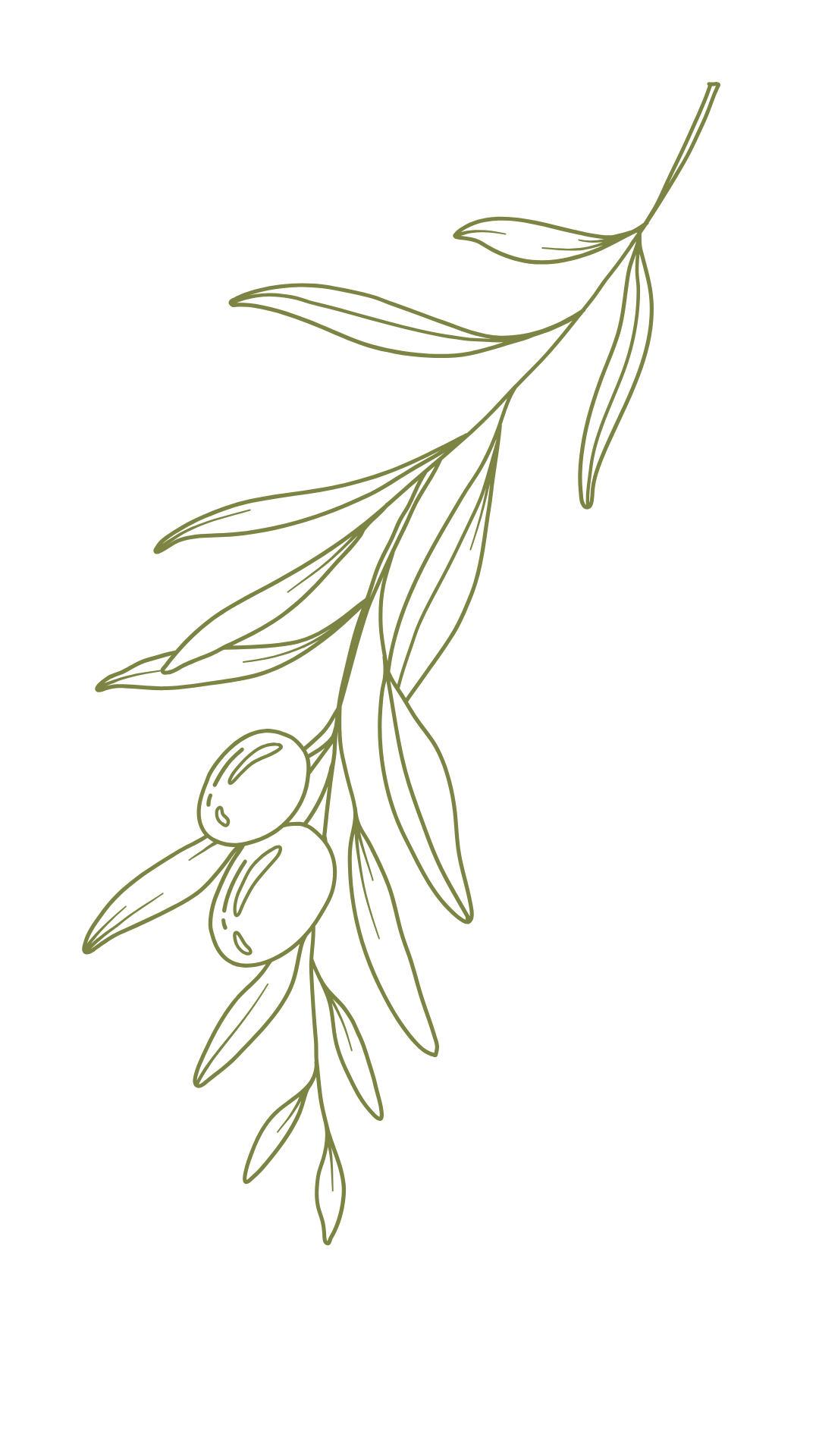 Maslina