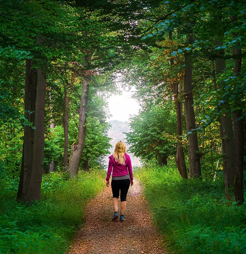 There’s One Specific Group That Stands To Gain Immense Benefits From Forest Bathing... And that’s middle-aged women.