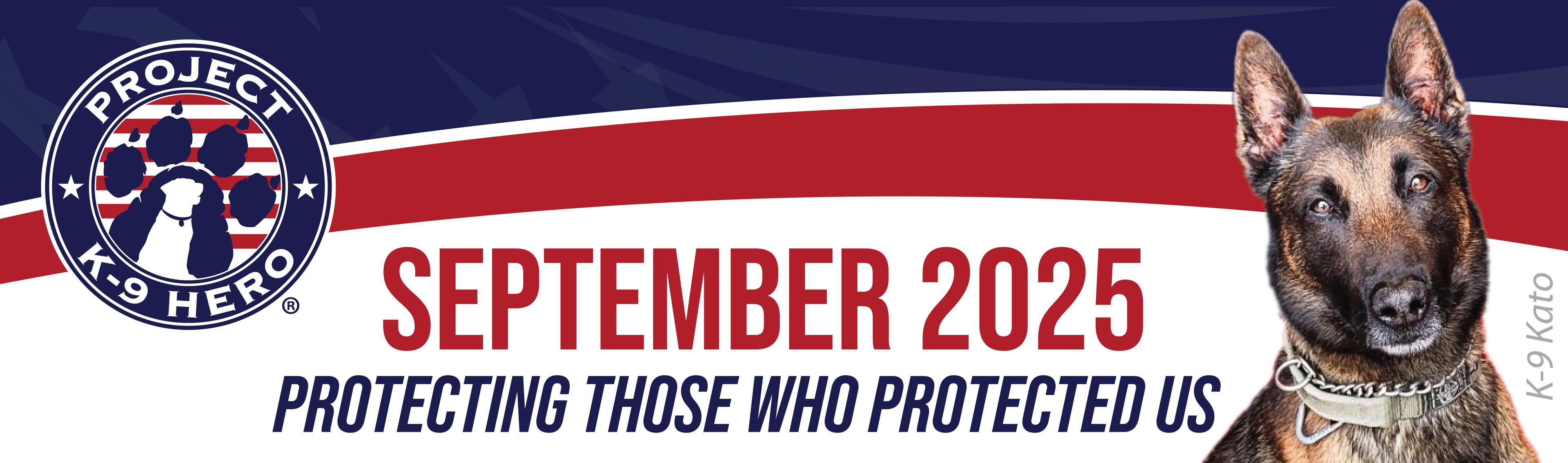 newsletter header