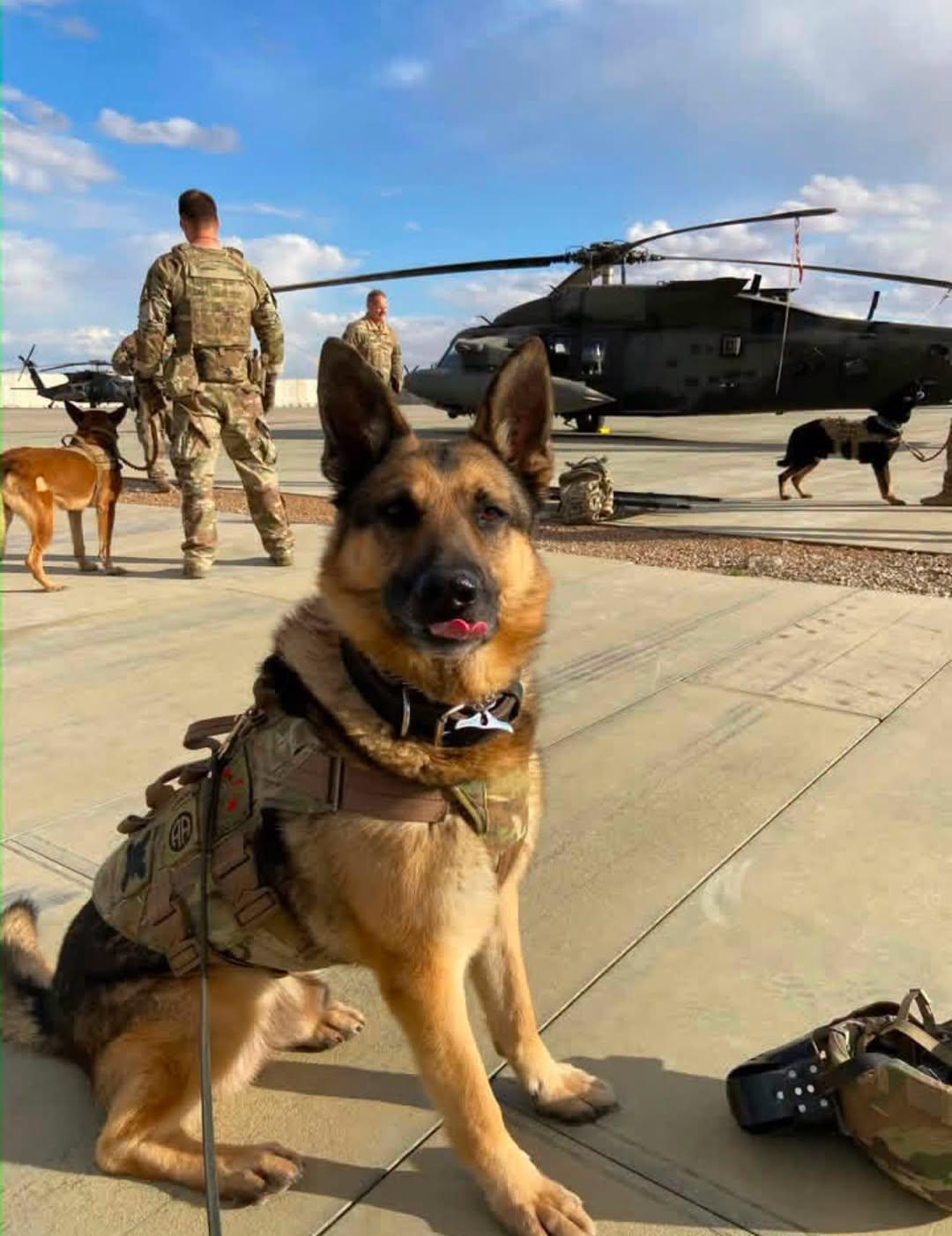 mwd leo