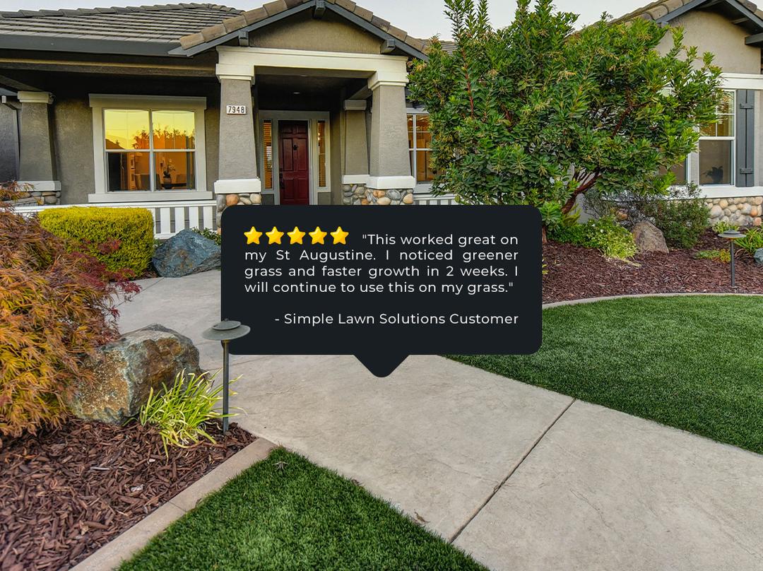 Lawn photo with 5 star review: "This worked great on my st. augustine. I noticed greener grass and faster growth in 2 weeks. I will continue to use this on my grass." Simple Lawn Solutions customer