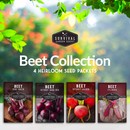 Beet Seed Collection - 4 heirloom varieties of beets