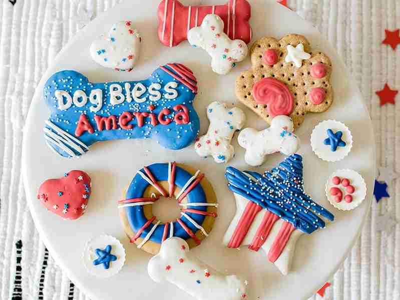 Party In The USA with These 4th of July Pet Party Ideas