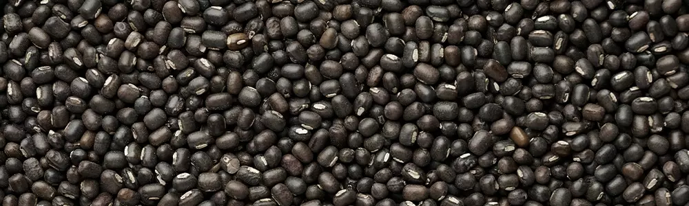 BLACK GRAM